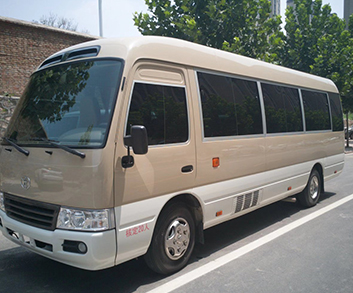 豐田海獅車展示